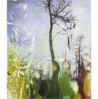 10.wetlands27