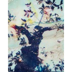 BoudreauxBarrington#6mm