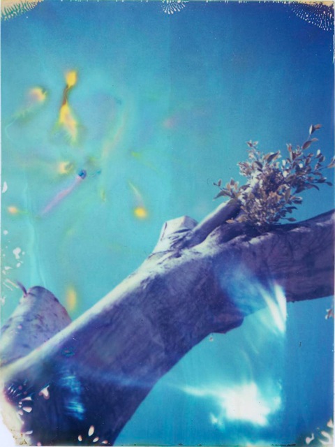 Loading Image