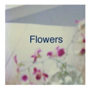 Flowers Sq Icon