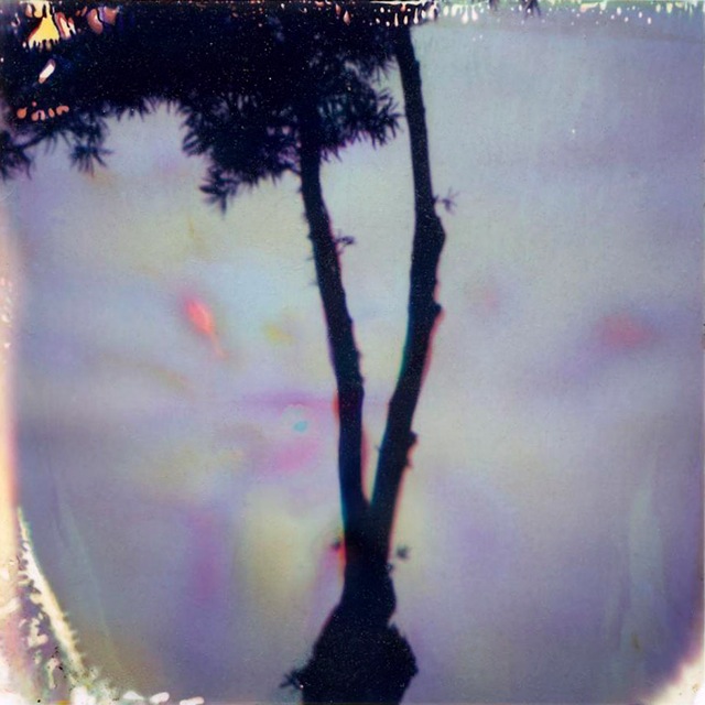 Ocean Park #5
