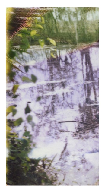 Louisiana Wetlands #13