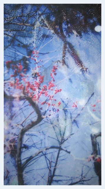 Louisiana Tree #3