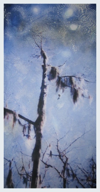 Louisiana Tree #4