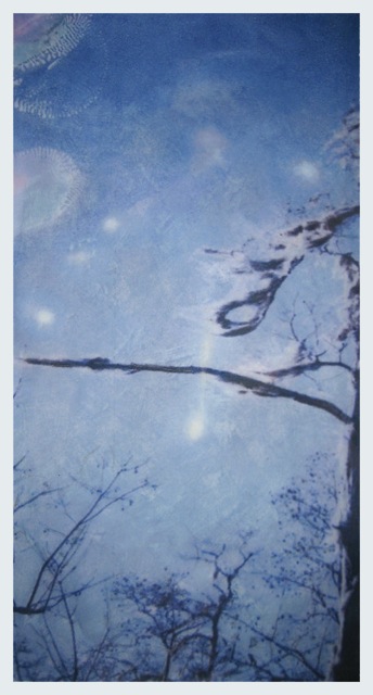 Louisiana Tree #10