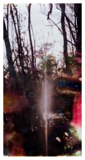 Louisiana Wetlands #2